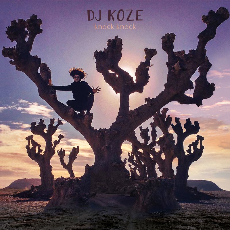 Dj Koze – Knock Knock (Box Set, Limited Edition) [PAMPABOX013]